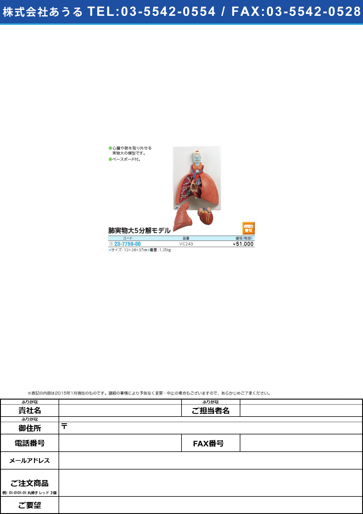 (23-7759-00)肺 実物大・５分解モデル ﾊｲｼﾞﾂﾌﾞﾂﾀﾞｲ5ﾌﾞﾝｶｲﾓﾃﾞ(23-7759-00)VC243【1台単位】【2015年カタログ商品】