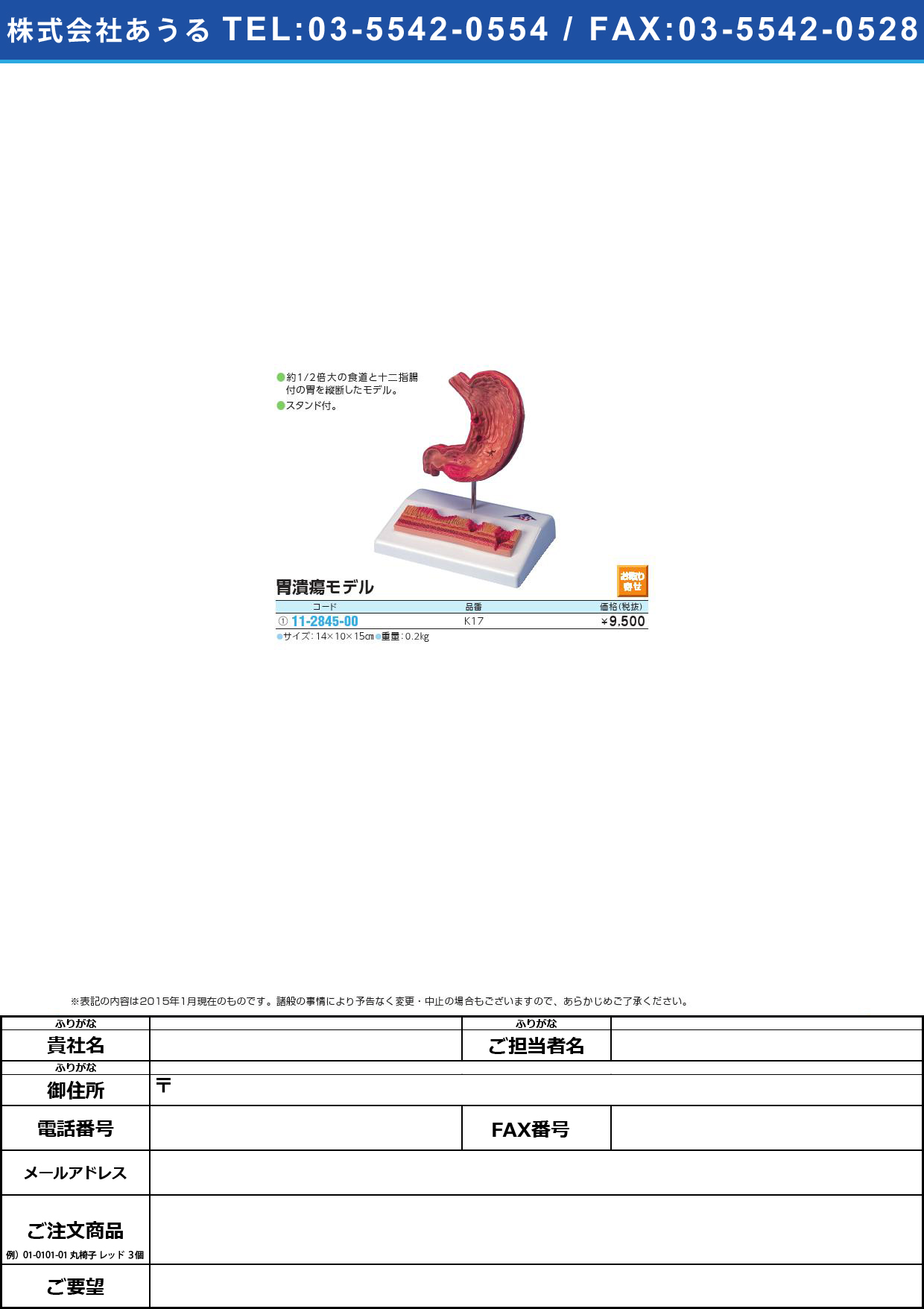 (11-2845-00)胃潰瘍モデル ｲｶｲﾖｳﾓﾃﾞﾙ(11-2845-00)K17【1台単位】【2015年カタログ商品】