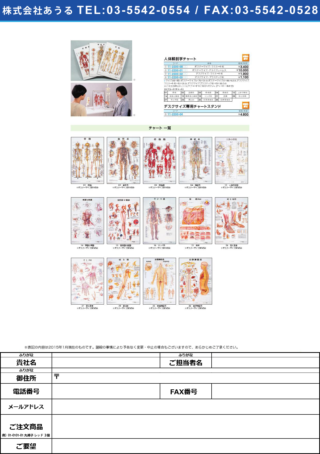 【お取り寄せ】人体解剖学チャート（ポスターサイズ） ｼﾞﾝﾀｲｶｲﾎﾞｳｶﾞｸﾁｬｰﾄ ｱﾙﾐﾌﾚｰﾑﾂｷ【1枚単位】(11-2230-01)