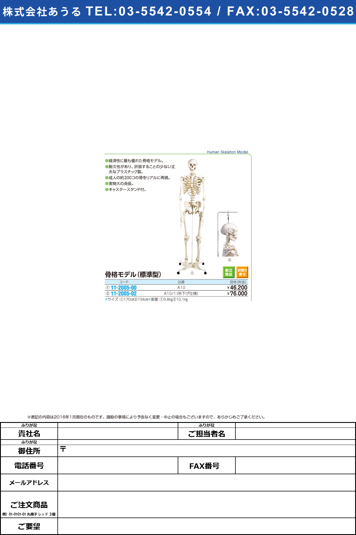 (11-2005-00)骨格モデル（標準型） ｺｯｶｸﾓﾃﾞﾙ A10 (170CM/7.6KG)【1台単位】【2016年カタログ商品】