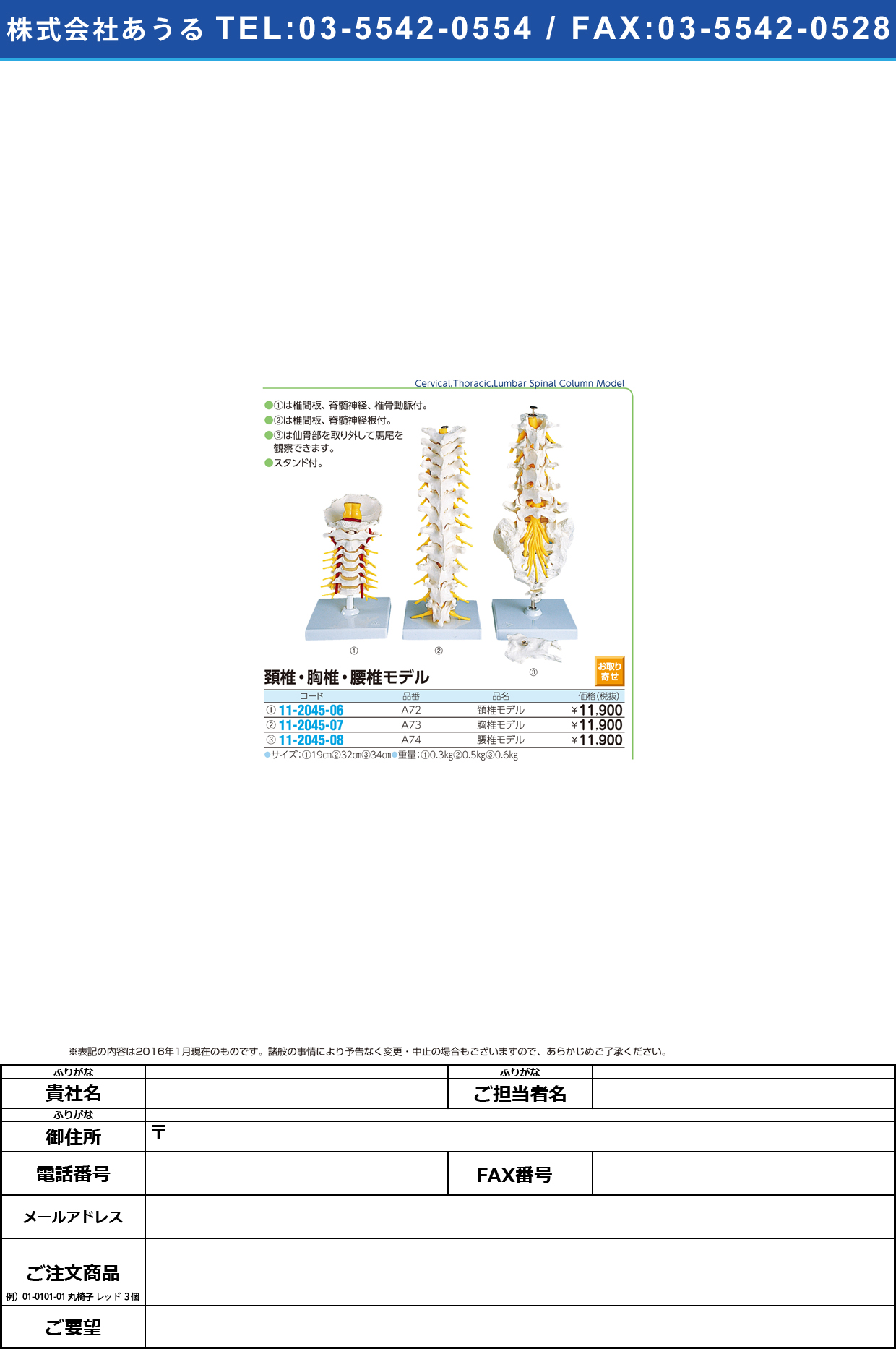 (11-2045-06)頸椎モデル（スタンド付） ｹｲﾂｲﾓﾃﾞﾙ A72 (19CM)【1台単位】【2016年カタログ商品】