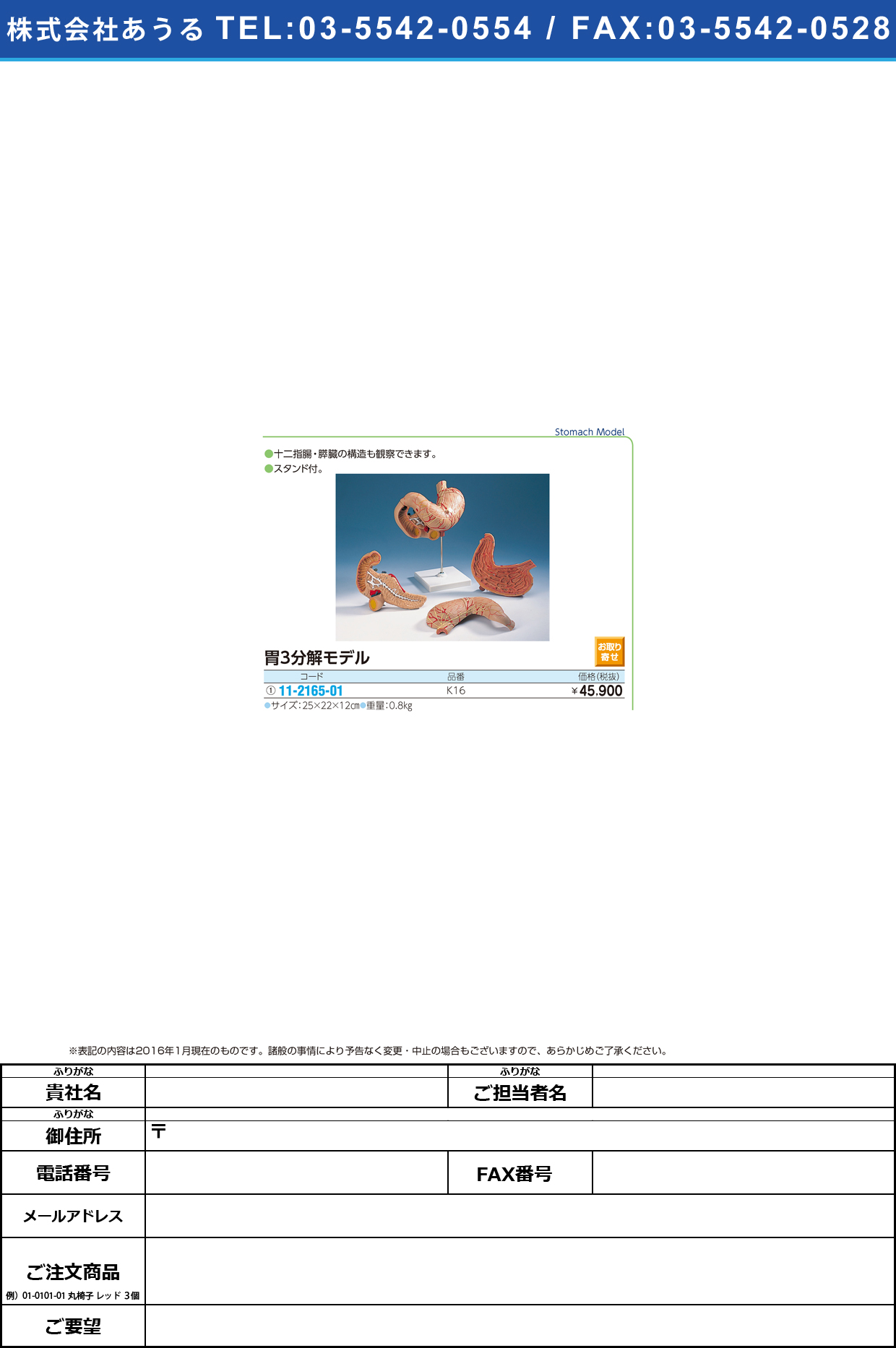 (11-2165-01)胃モデル（３分解） ｲﾓﾃﾞﾙ(3ﾌﾞﾝｶｲ) K16 (25X19X12CM)【1台単位】【2016年カタログ商品】