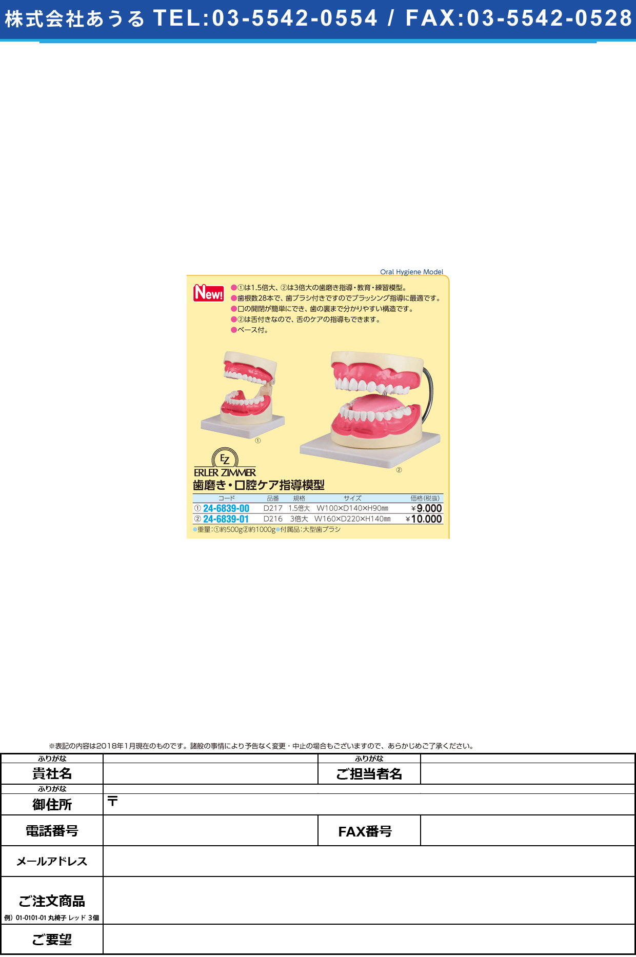(24-6839-00)歯磨き（口腔ケア）指導模型１．５倍大 D217 ﾊﾐｶﾞｷ(ｺｳｸｳｹｱ)ｼﾄﾞｳﾓｹｲ(エルラージーマー社)【1個単位】【2018年カタログ商品】