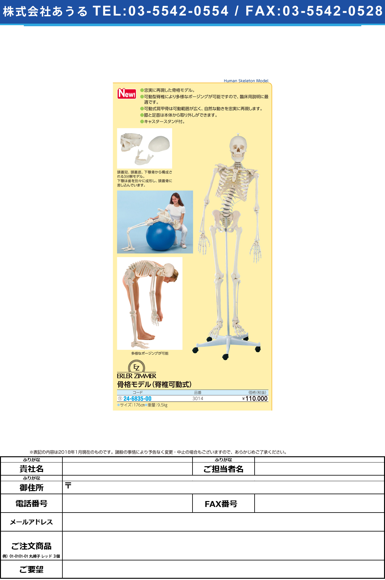 (24-6835-00)脊椎可動式骨格モデル 3014 ｾｷﾂｲｶﾄﾞｳｼｷｺｯｶｸﾓﾃﾞﾙ(エルラージーマー社)【1個単位】【2018年カタログ商品】