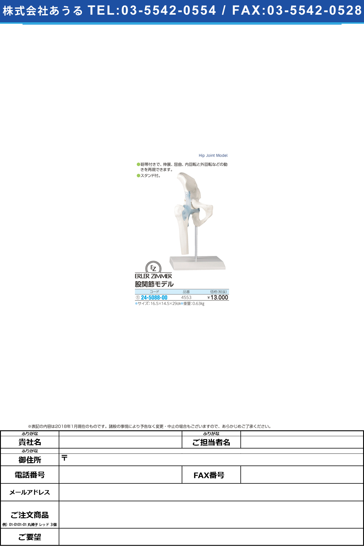 (24-5088-00)股間接モデル 4553 ﾏﾀｶﾝｾﾂﾓﾃﾞﾙ(エルラージーマー社)【1個単位】【2018年カタログ商品】