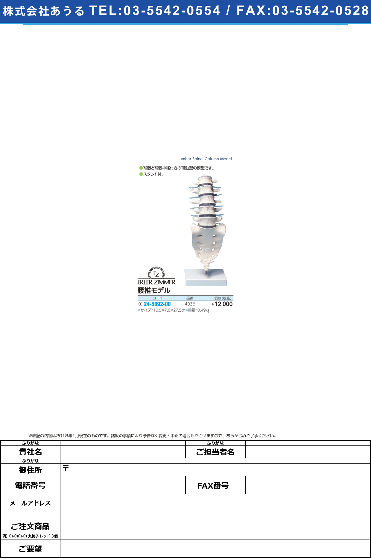 (24-5092-00)腰椎モデル 4036 ﾖｳﾂｲﾓﾃﾞﾙ(エルラージーマー社)【1個単位】【2018年カタログ商品】