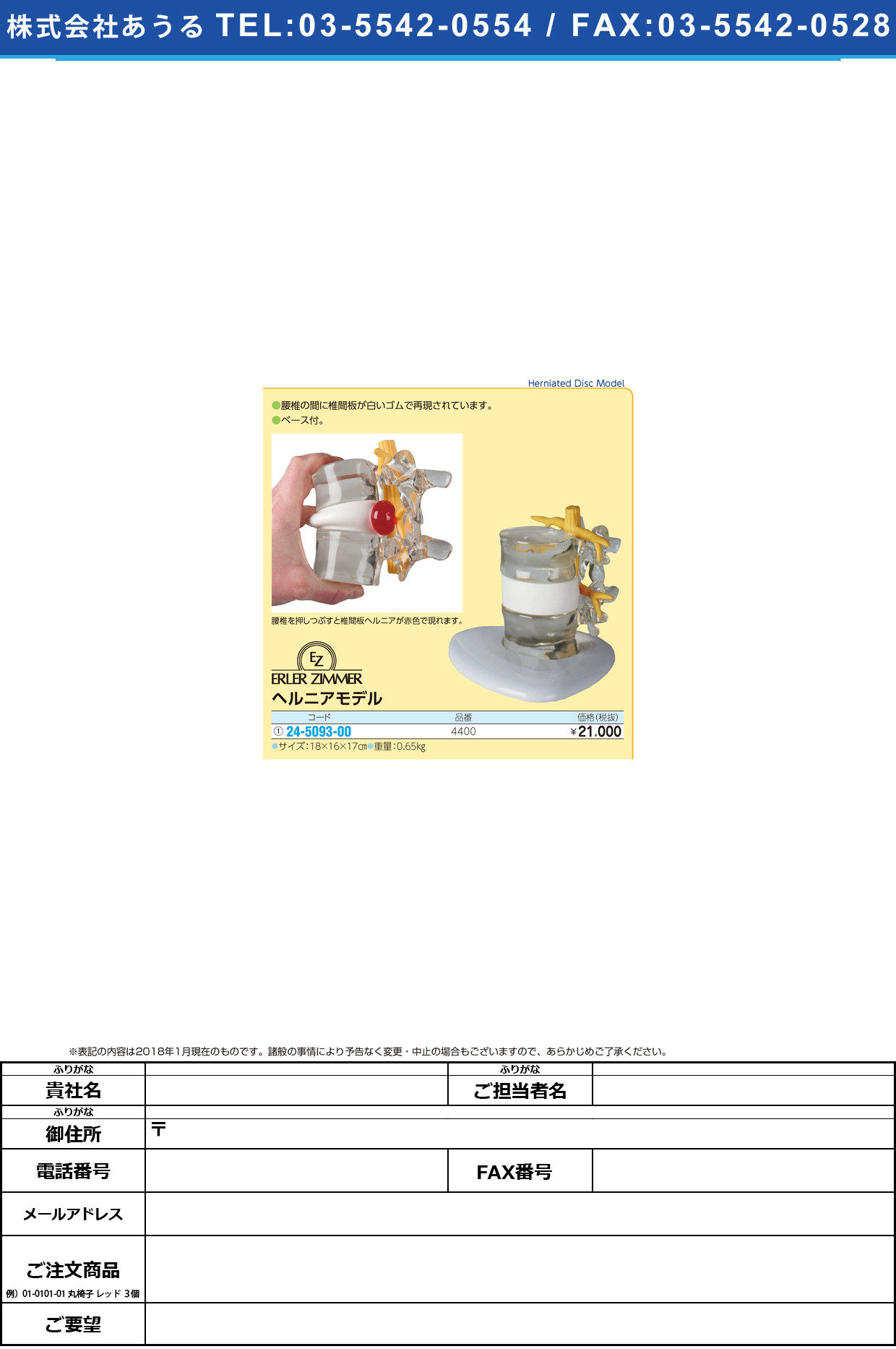 (24-5093-00)ヘルニアモデル 4400 ﾍﾙﾆｱﾓﾃﾞﾙ(エルラージーマー社)【1個単位】【2018年カタログ商品】