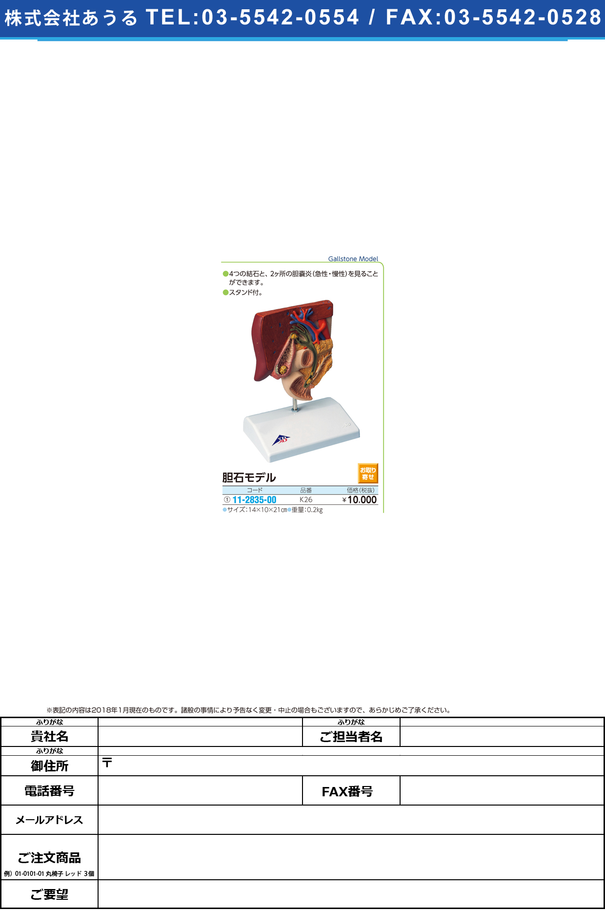 (11-2835-00)胆石モデル K26 ﾀﾝｾｷﾓﾃﾞﾙ(京都科学)【1台単位】【2018年カタログ商品】