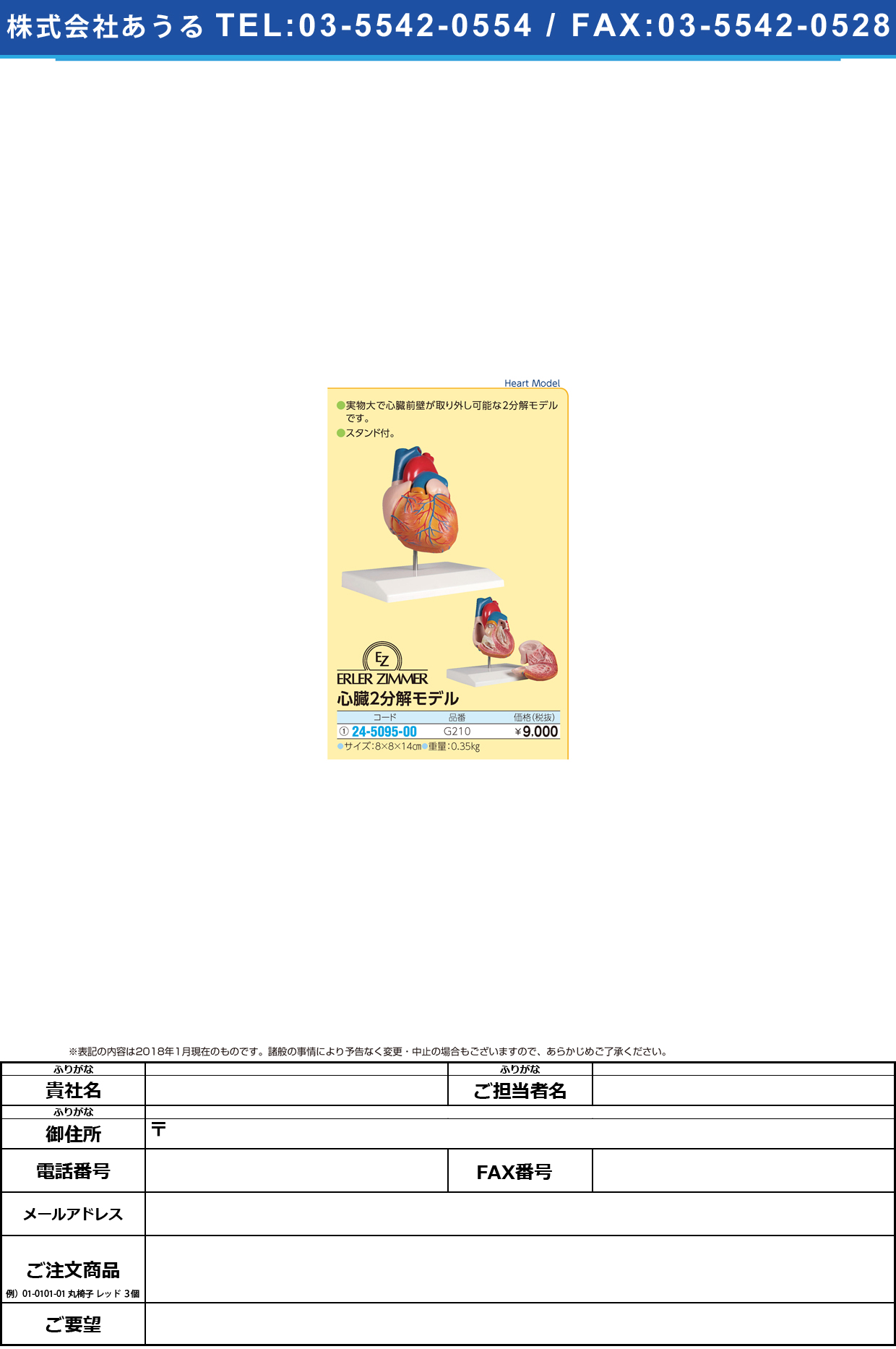 (24-5095-00)心臓２分解モデル G210 ｼﾝｿﾞｳ2ﾌﾞﾝｶｲﾓﾃﾞﾙ(エルラージーマー社)【1個単位】【2018年カタログ商品】