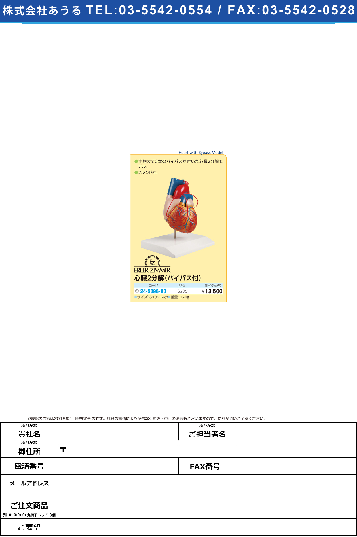 (24-5096-00)心臓２分解モデル（バイパス付） G205 ｼﾝｿﾞｳ2ﾌﾞﾝｶｲﾓﾃﾞﾙ(エルラージーマー社)【1個単位】【2018年カタログ商品】