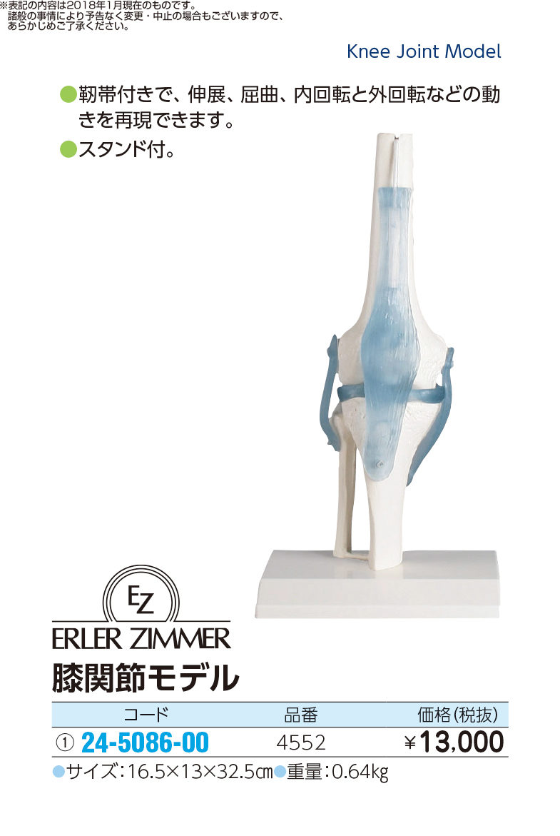 (24-5086-00)膝関節モデル 4552 ﾋｻﾞｶﾝｾﾂﾓﾃﾞﾙ(エルラージーマー社)【1個単位】【2018年カタログ商品】