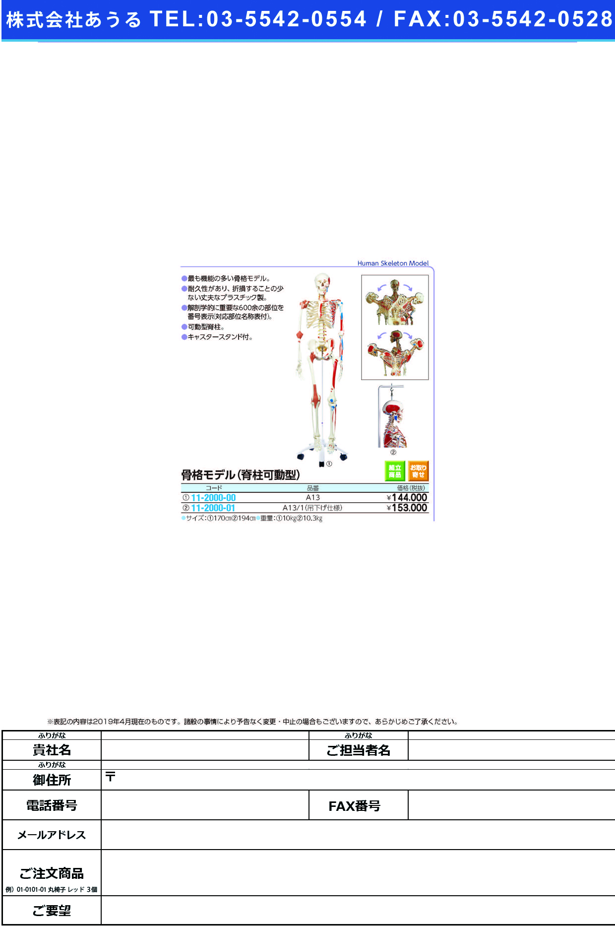 (11-2000-01)骨格モデル（脊柱可動型）吊り下げ仕様 A13/1(186CM/8.5KG) ｺｯｶｸﾓﾃﾞﾙ(京都科学)【1台単位】【2019年カタログ商品】