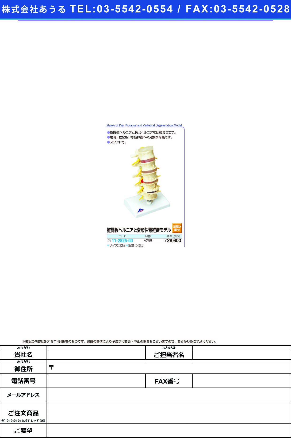 (11-2825-00)椎間板ヘルニアと変形性脊椎症モデル A795 ﾂｲｶﾝﾊﾞﾝﾍﾙﾆｱﾄｾｷﾂｲｼｮｳﾓ(京都科学)【1台単位】【2019年カタログ商品】