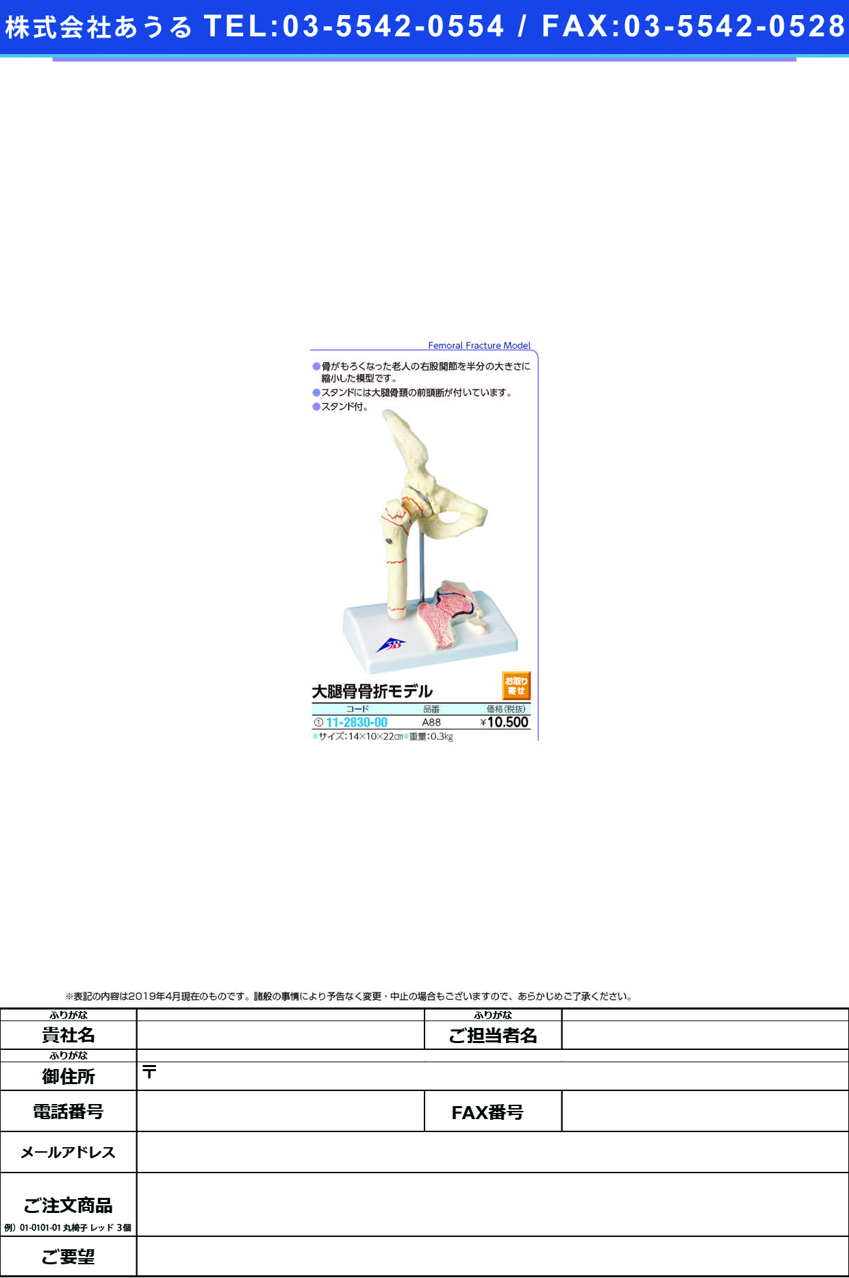 (11-2830-00)大腿骨骨折解説模型（１／２） A88 ﾀﾞｲﾀｲｺﾂｺｯｾﾂｶｲｾﾂﾓｹｲ(京都科学)【1台単位】【2019年カタログ商品】