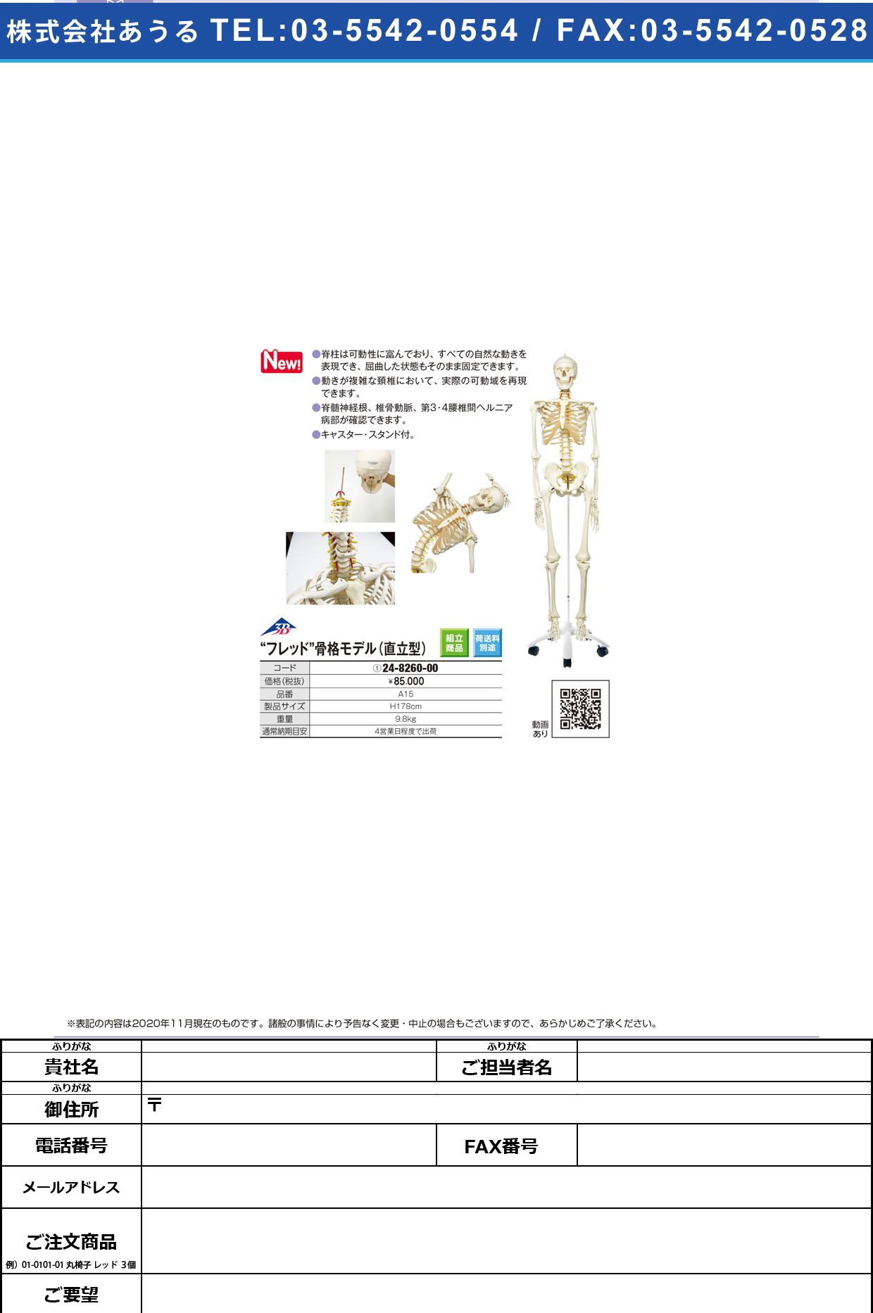 (24-8260-00)骨格交連模型(脊柱可動型) A15A15(24-8260-00)【日本３Ｂサイエンティフィック】(販売単位:1)【1単位】【2021年カタログ商品】