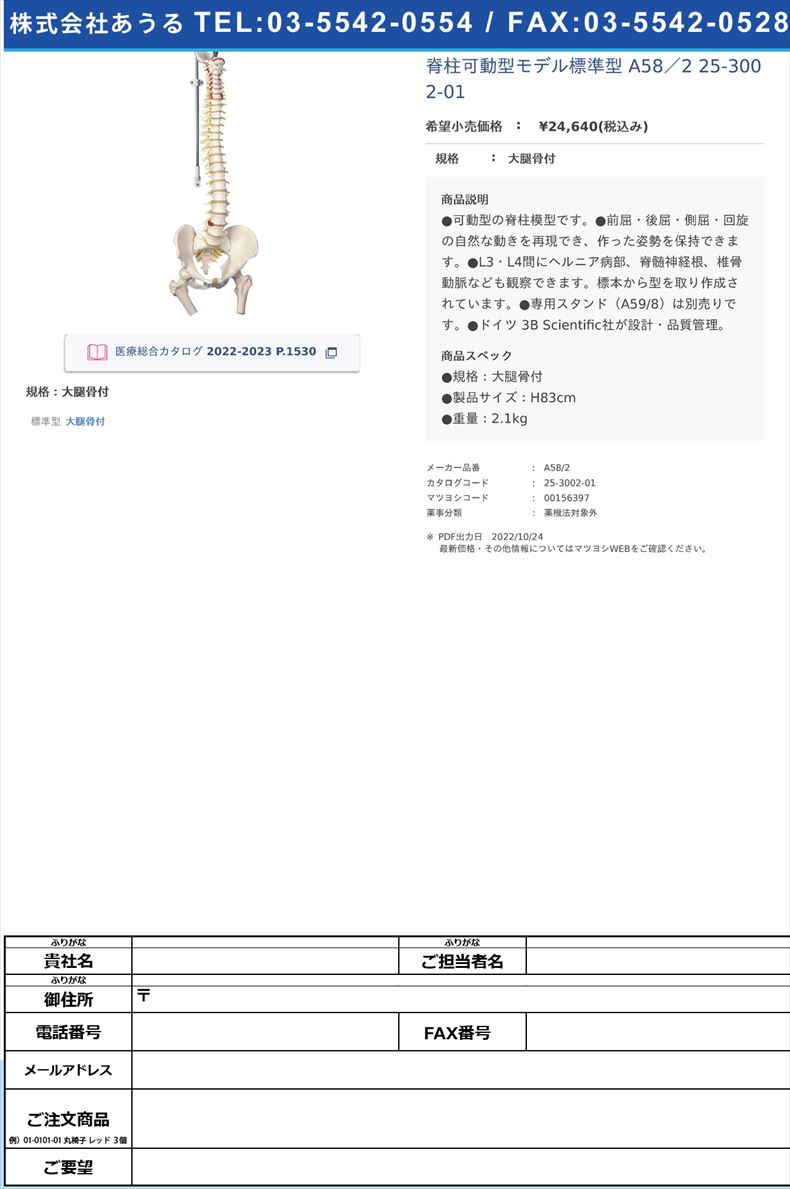 脊柱可動型モデル標準型 A58／2  25-3002-01大腿骨付【日本スリービー・サイエンティフィック】(A58/2)(25-3002-01)