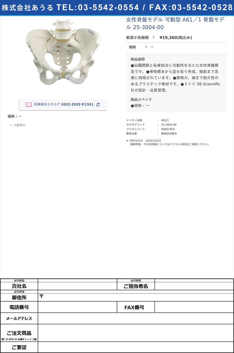 女性骨盤モデル 可動型  A61／1 骨盤モデル 25-3004-00ー【日本スリービー・サイエンティフィック】(A61/1)(25-3004-00)
