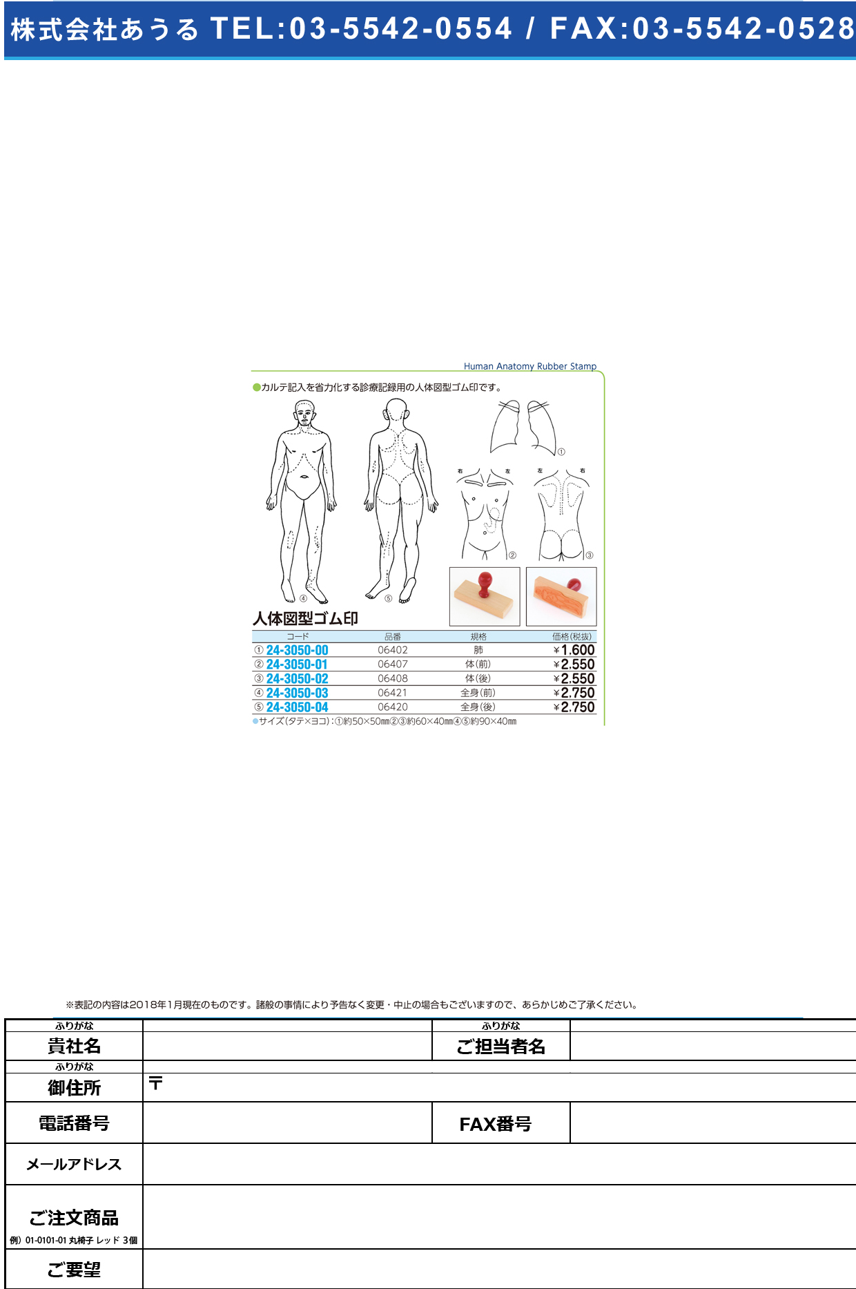 (24-3050-01)人体図型ゴム印（体・前向き） 06407 ｼﾞﾝﾀｲｽﾞｹｲｺﾞﾑｲﾝ(ｶﾗﾀﾞ【1個単位】【2019年カタログ商品】