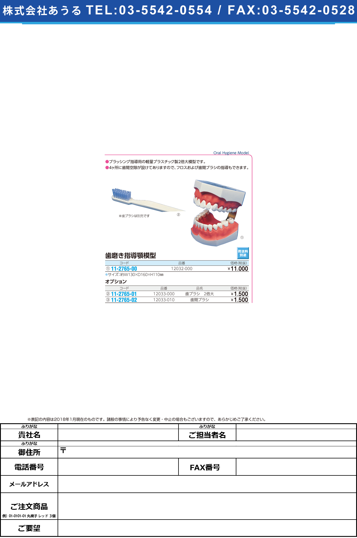 (11-2765-00)２倍大歯磨き指導用模型 12032-000(NNS3) ﾊﾐｶﾞｷｼﾄﾞｳﾓｹｲ(京都科学)【1台単位】【2019年カタログ商品】