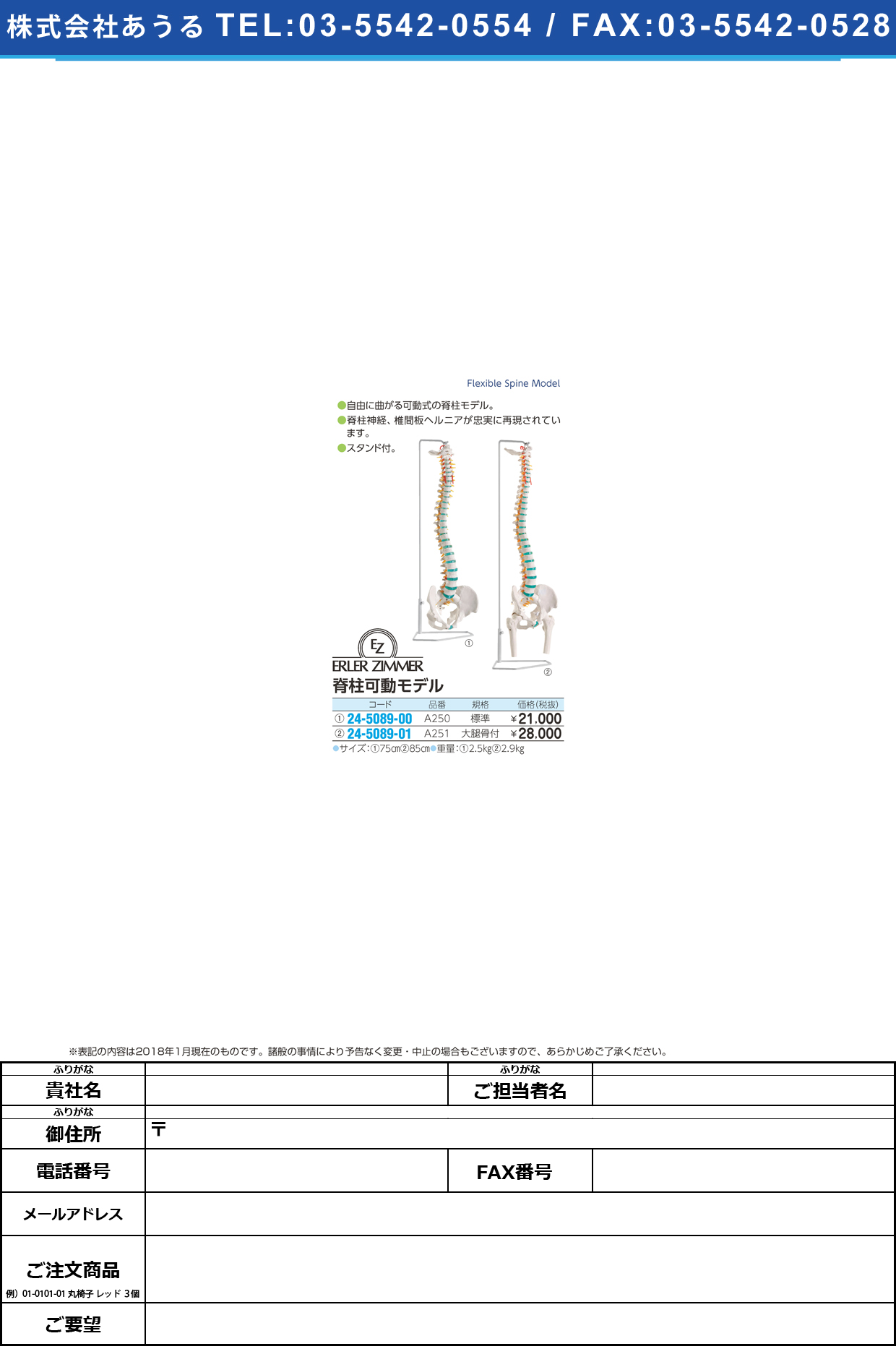 (24-5089-00)脊柱可動モデル（１／２） A250 ｾｷﾁｭｳｶﾄﾞｳﾓﾃﾞﾙ(1/2)(エルラージーマー社)【1個単位】【2019年カタログ商品】