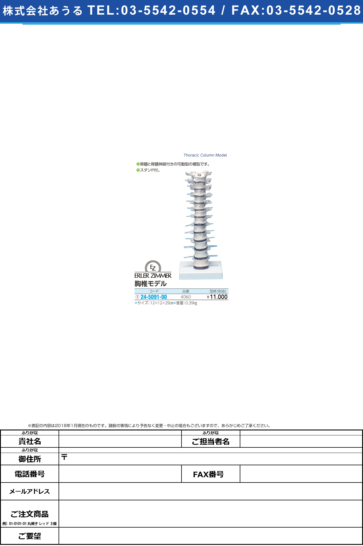 (24-5091-00)胸椎モデル 4060 ｷｮｳﾂｲﾓﾃﾞﾙ(エルラージーマー社)【1個単位】【2019年カタログ商品】