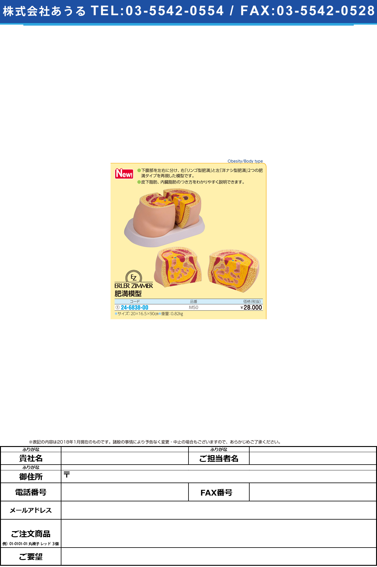 (24-6838-00)肥満模型 M50 ﾋﾏﾝﾓｹｲ(エルラージーマー社)【1個単位】【2019年カタログ商品】