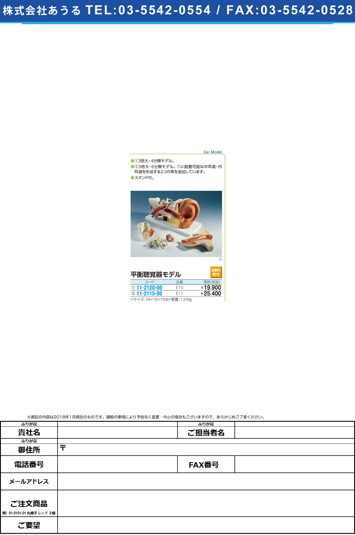 (11-2115-00)平衝聴覚器モデル（アドバンス型） E11(34X16X19CM) ﾍｲｺｳﾁｮｳｶｷｷﾓﾃﾞﾙ(京都科学)【1台単位】【2019年カタログ商品】
