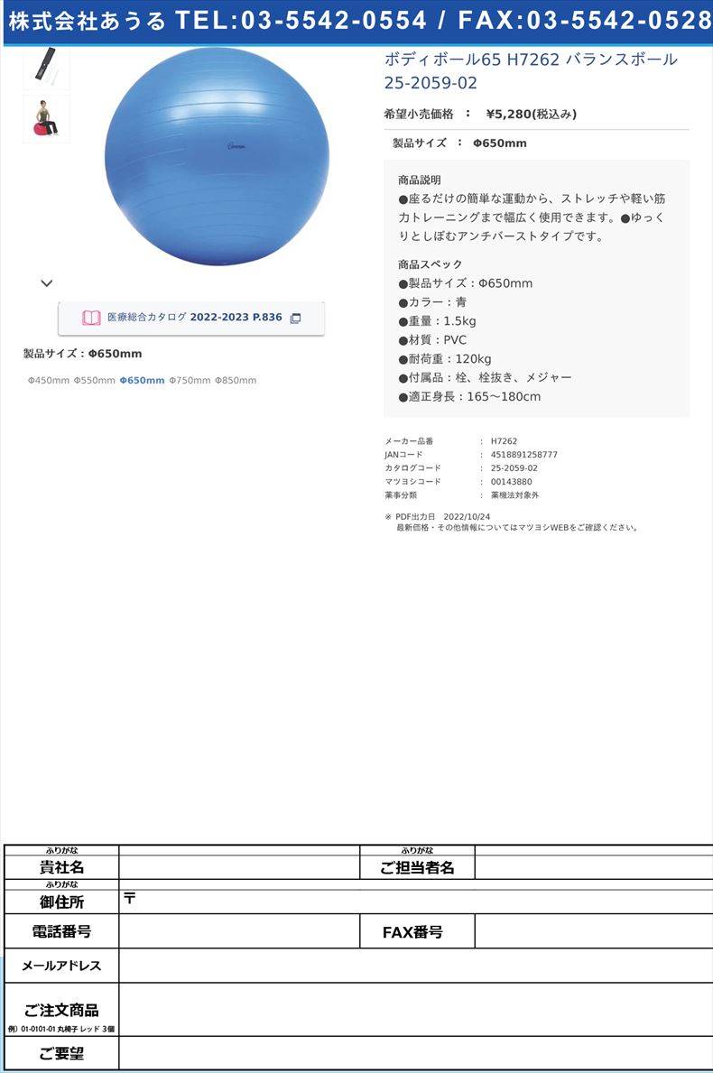 ボディボール65 H7262 バランスボール 25-2059-02Φ650mm【トーエイライト】(H7262)(25-2059-02)