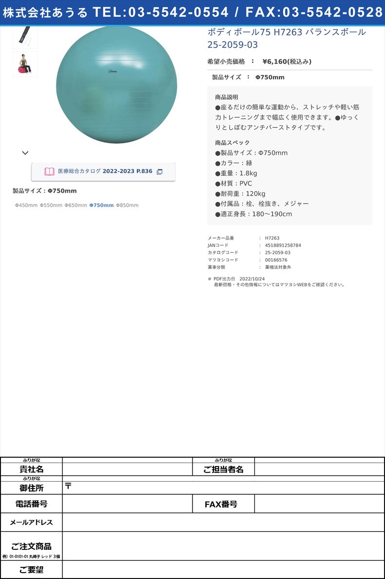 ボディボール75 H7263 バランスボール 25-2059-03Φ750mm【トーエイライト】(H7263)(25-2059-03)